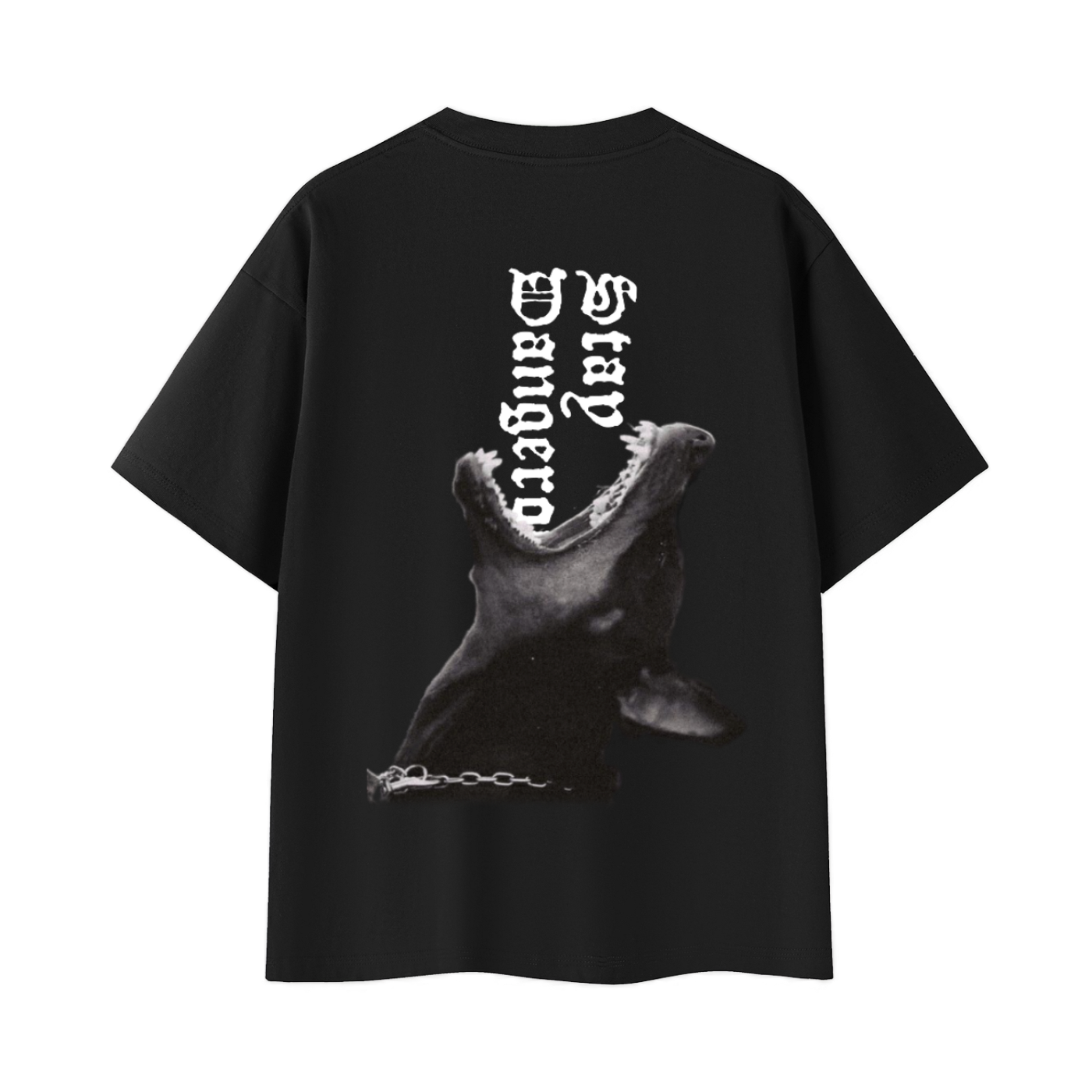 Stay Dangerous Oversized T-Shirt